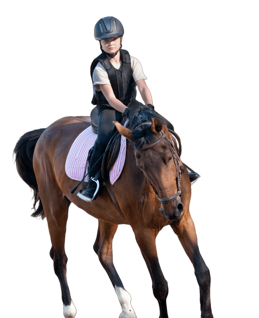 Jinete montando caballo