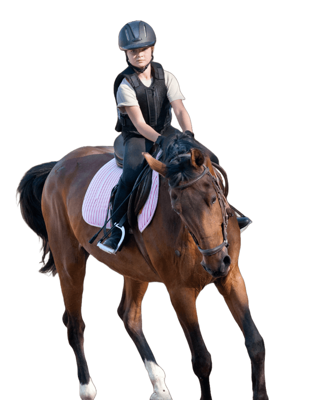 Jinete montando caballo