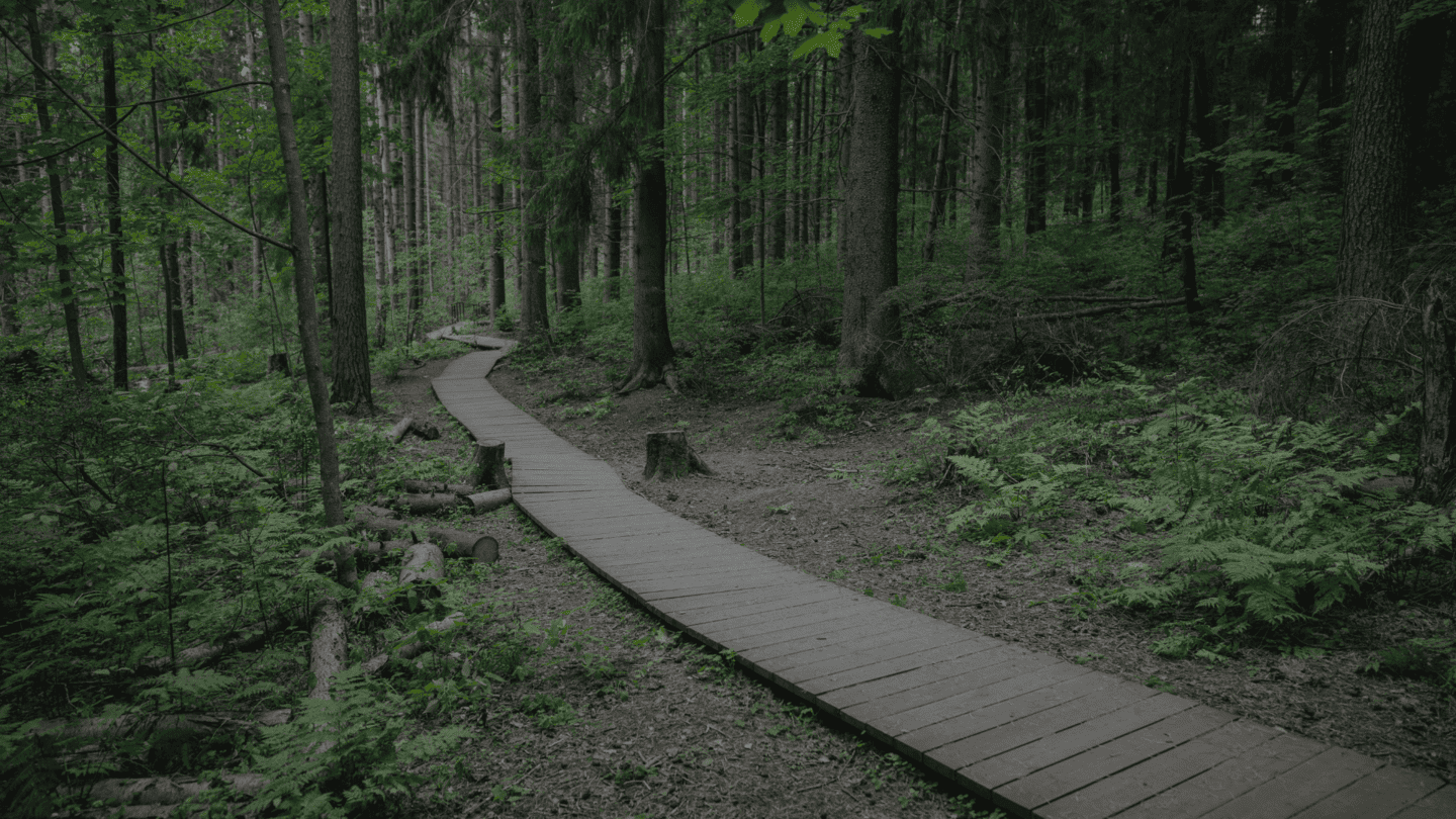 Senderos del proyecto Llanos Las Victorias